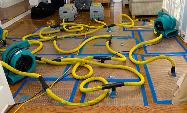 Professional Sewage Cleanup technician working in Woodbine, MD